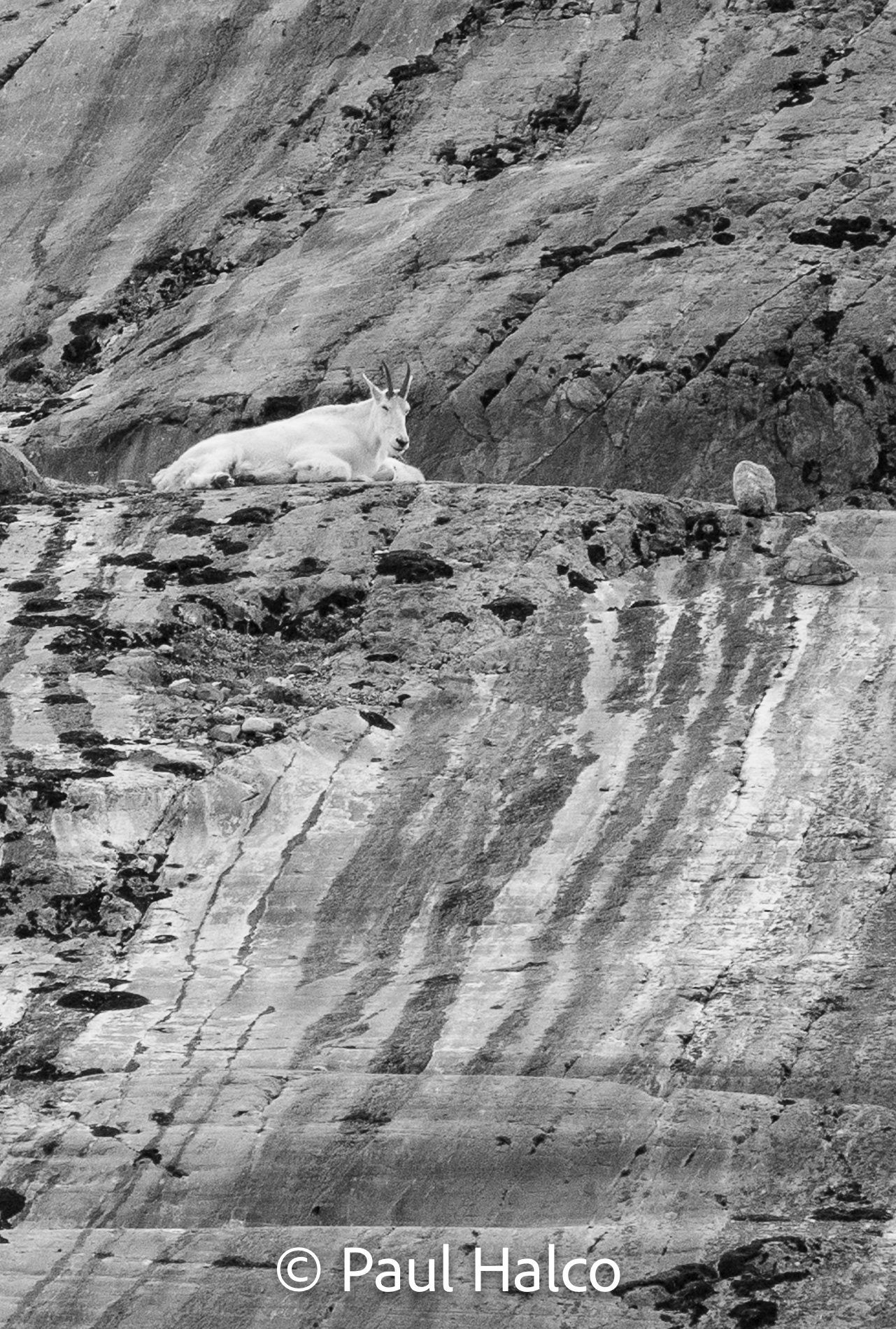 Paul Halco - Glacier Bay NP-23